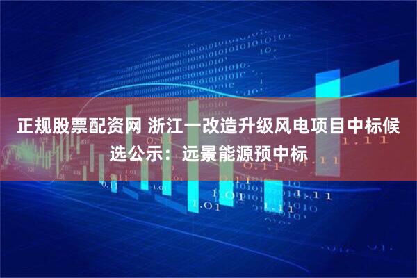 正规股票配资网 浙江一改造升级风电项目中标候选公示：远景能源预中标