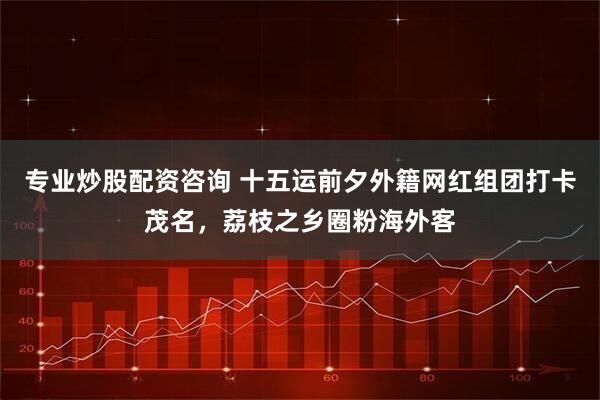 专业炒股配资咨询 十五运前夕外籍网红组团打卡茂名，荔枝之乡圈粉海外客