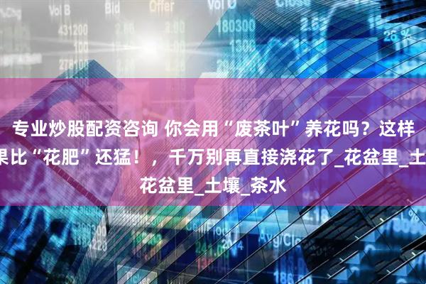 专业炒股配资咨询 你会用“废茶叶”养花吗？这样用，效果比“花肥”还猛！，千万别再直接浇花了_花盆里_土壤_茶水